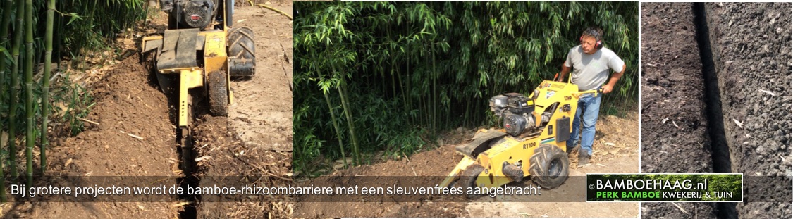 Bij grotere projecten wordt de bamboe rhizoombarriere met een sleuvenfrees aangebracht www.bamboehaag.nl