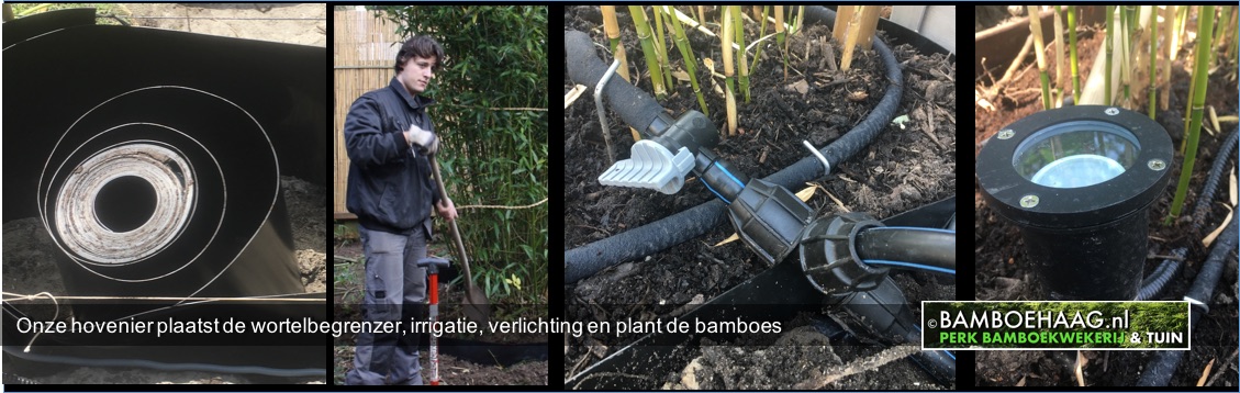 Onze hovenier plaatst de wortelbegrenzer irrigatie verlichting en plant de bamboes www.bamboehaag.nl