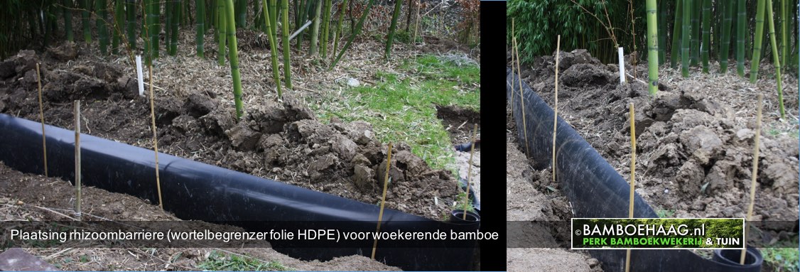 Plaatsing rhizoombarriere wortelbegrenzer folie HDPE voor woekerende bamboe