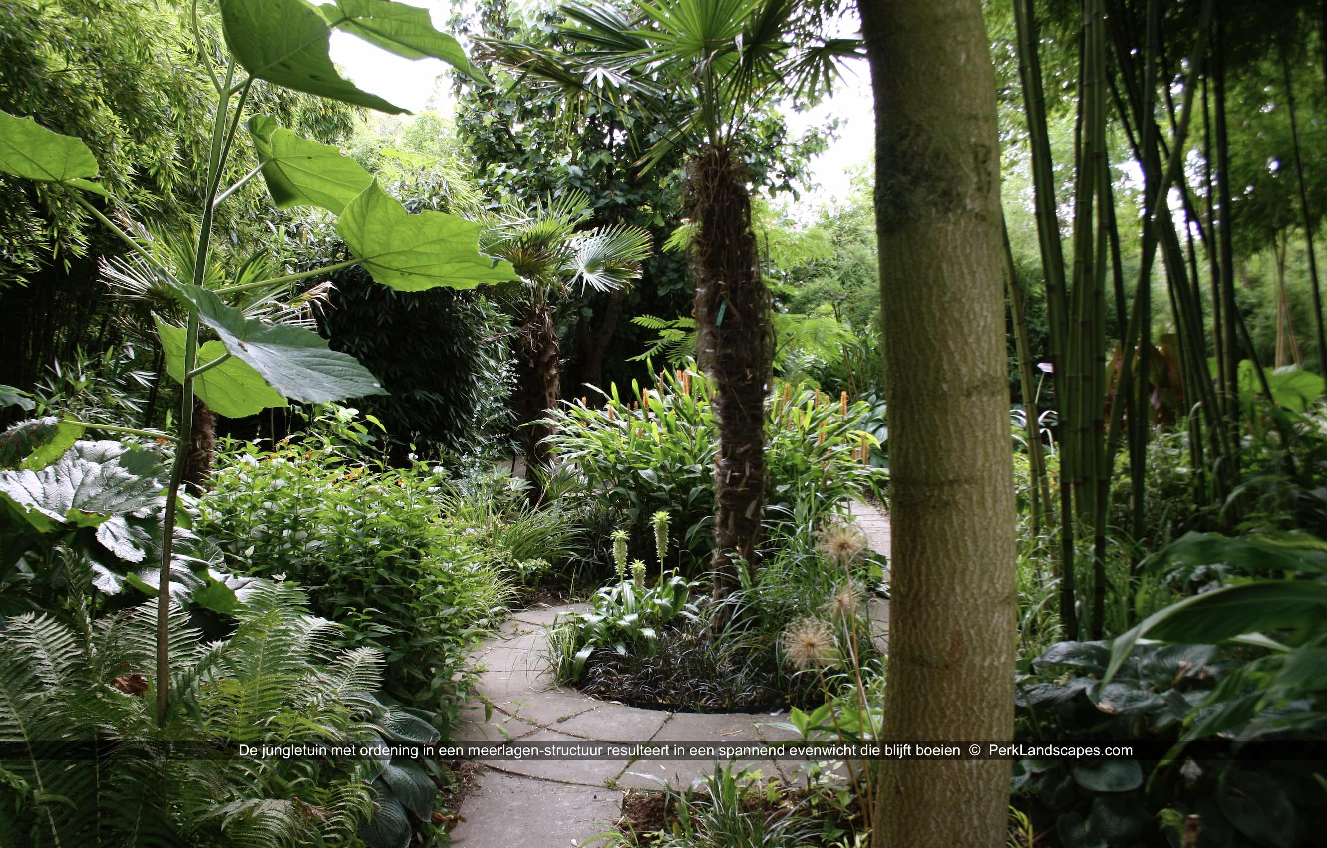 De jungletuin met ordening in een meerlagen structuur resulteert in een spannend evenwicht die blijft boeien PerkLandscapes com