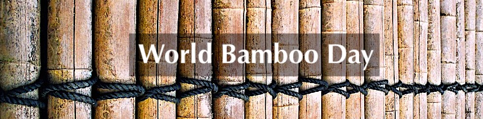World Bamboo Day Banner