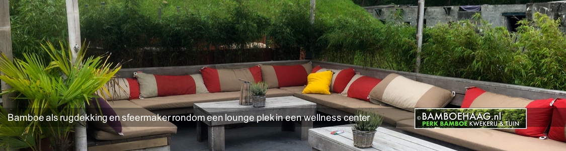 Bamboe als rugdekking en sfeermaker rondom een lounge plek in een wellness center
