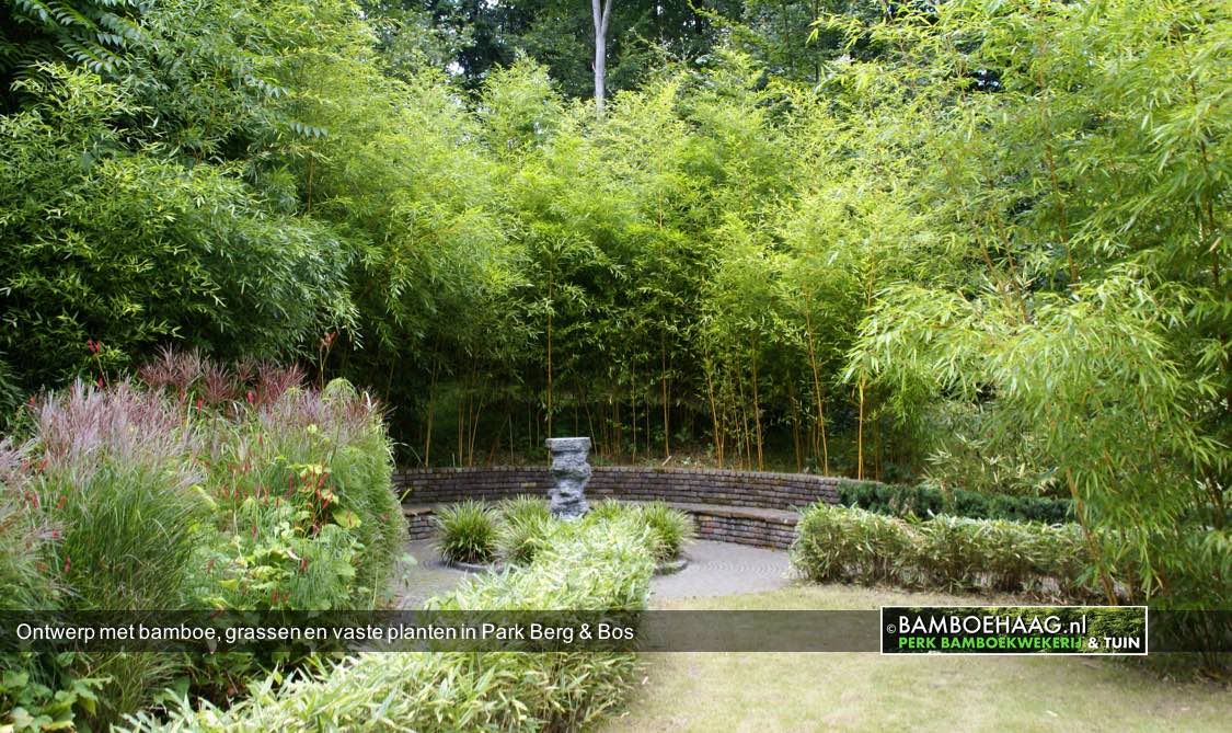 Ontwerp met bamboe grassen en vaste planten in Park Berg & Bos