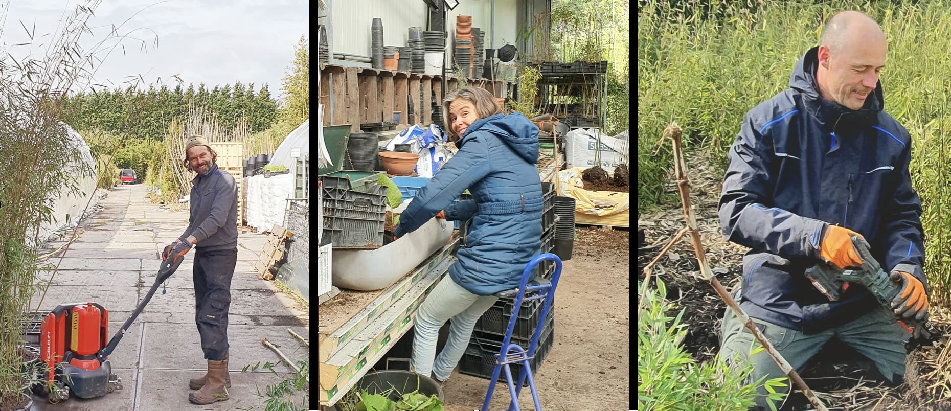 kwekerij werk portretten Perk Botanische Kwekerijn Tuin