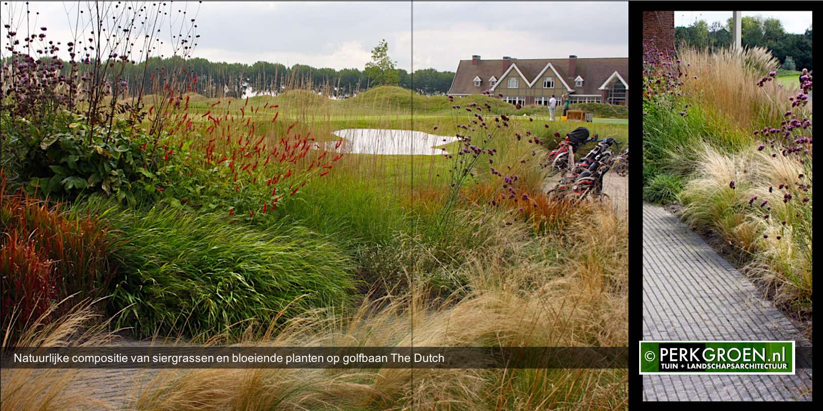 Natuurlijke compositie van siergrassen en bloeiende planten op golfbaan The Dutch