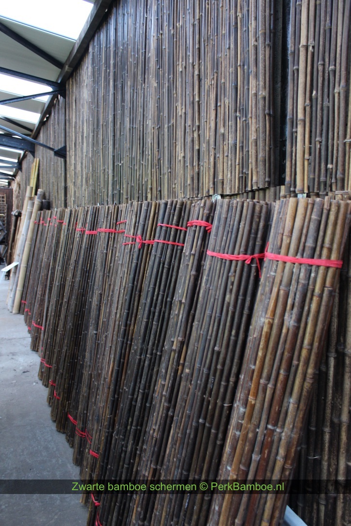 Quagga Boodschapper Briesje Bamboe rolscherm zwarte bamboe