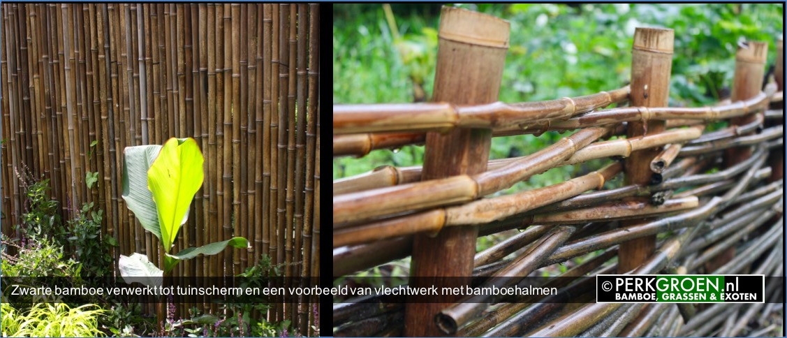 Zwarte bamboe verwerkt tot tuinscherm en een voorbeeld van vlechtwerk met bamboehalmen