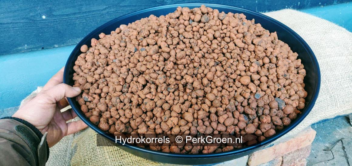 hydrokorrels kleikorrels hydro grain3 small PerkGroennl