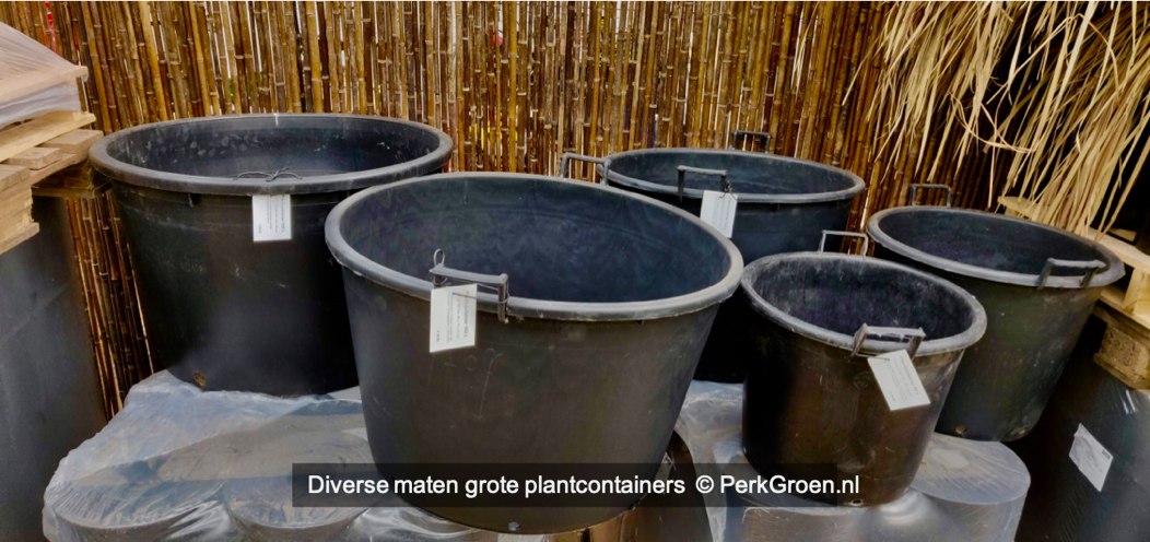 Divers maten grote plantcontainers PerkGroen nl