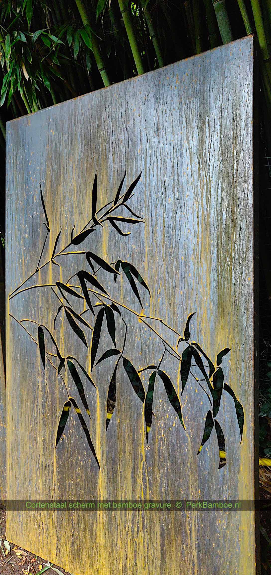 Cortenstaal scherm met bamboe gravure PerkBamboe nl