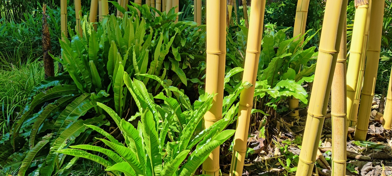 Assortimentstuin PERK Botanical Nursery Garden 1