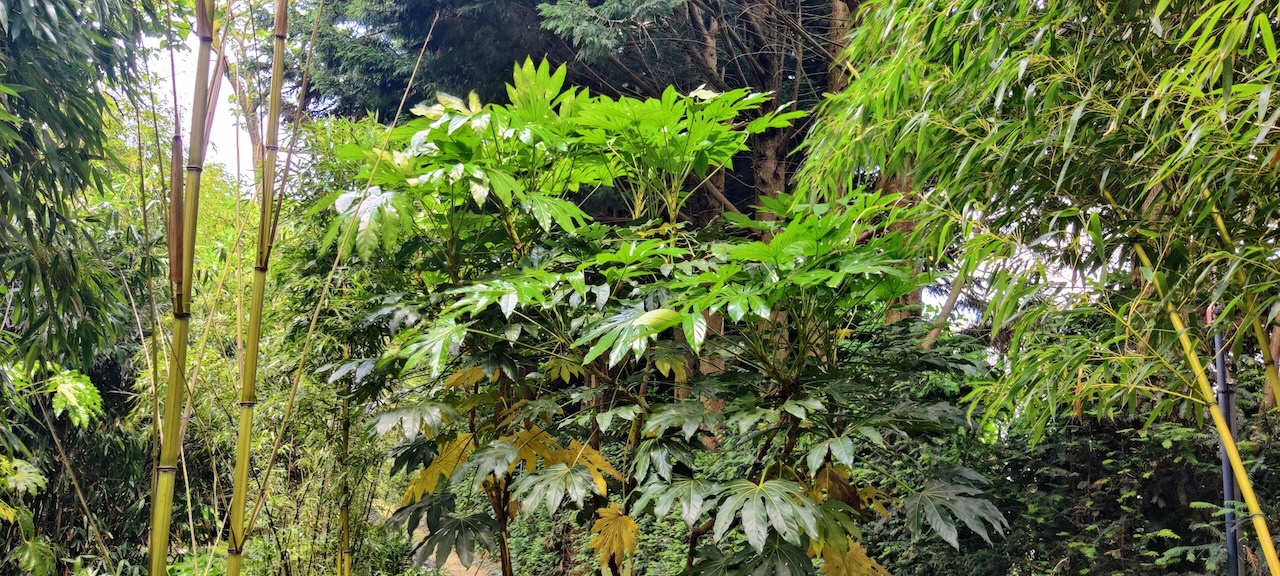 Assortimentstuin PERK Botanical Nursery Garden 10