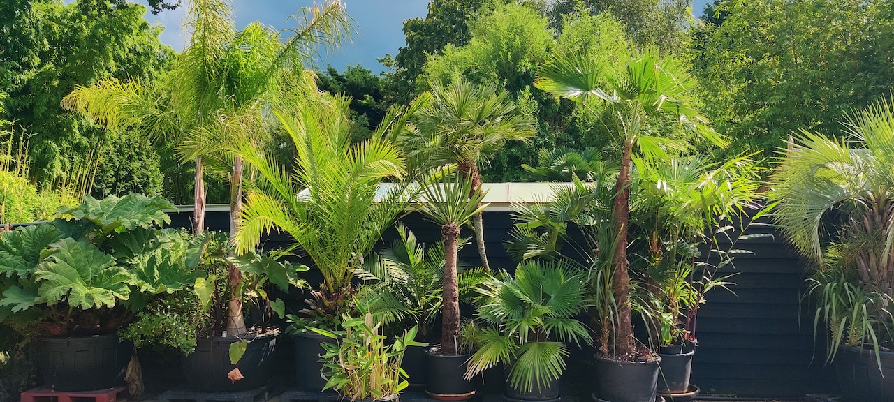 Assortimentstuin PERK Botanical Nursery Garden 12