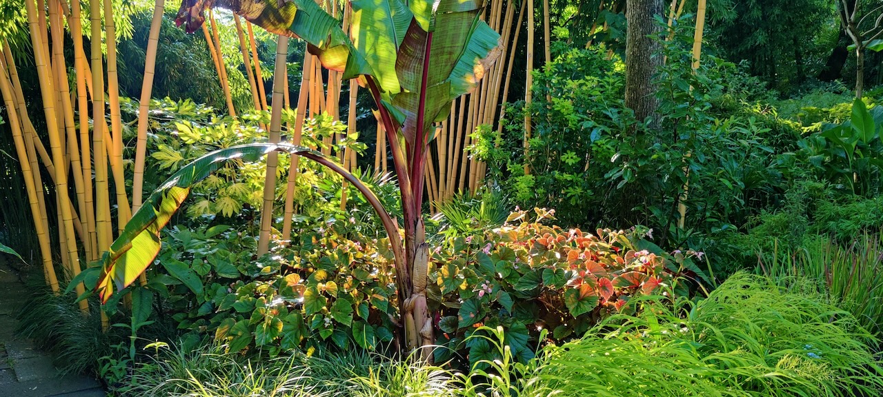 Assortimentstuin PERK Botanical Nursery Garden 13