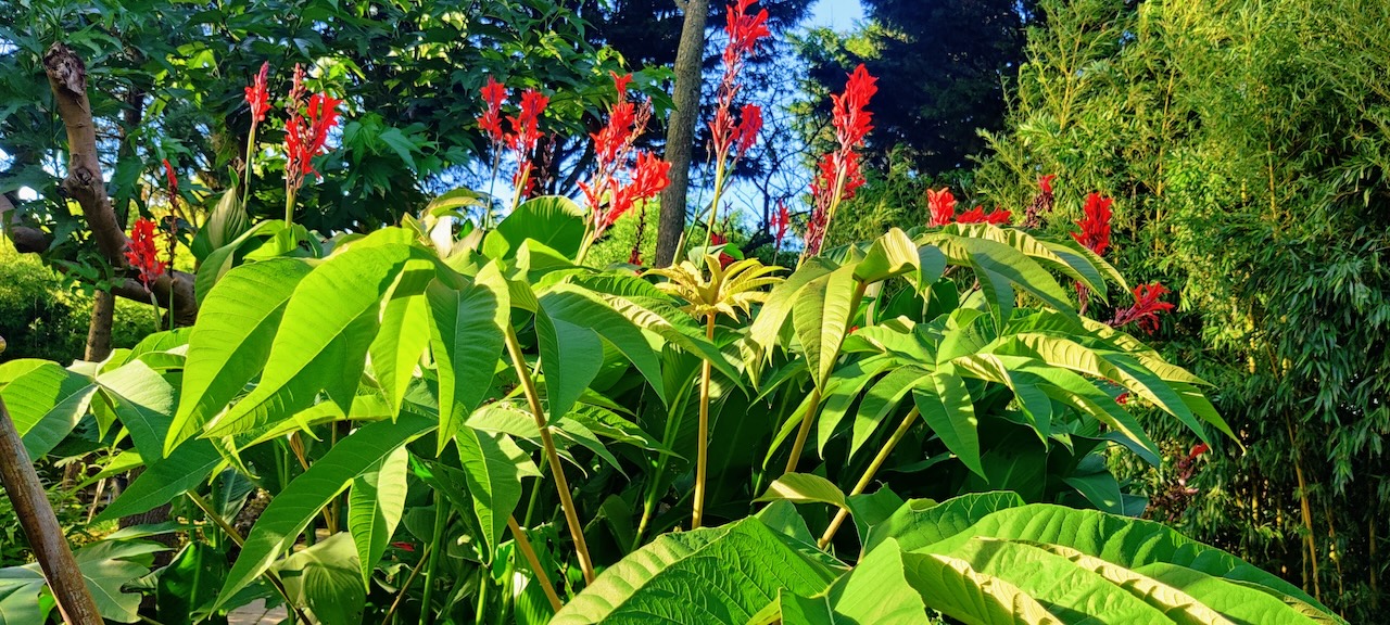 Assortimentstuin PERK Botanical Nursery Garden 16