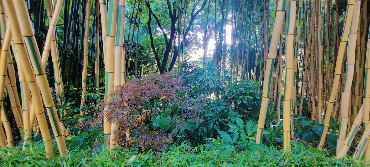 Assortimentstuin PERK Botanical Nursery Garden 4