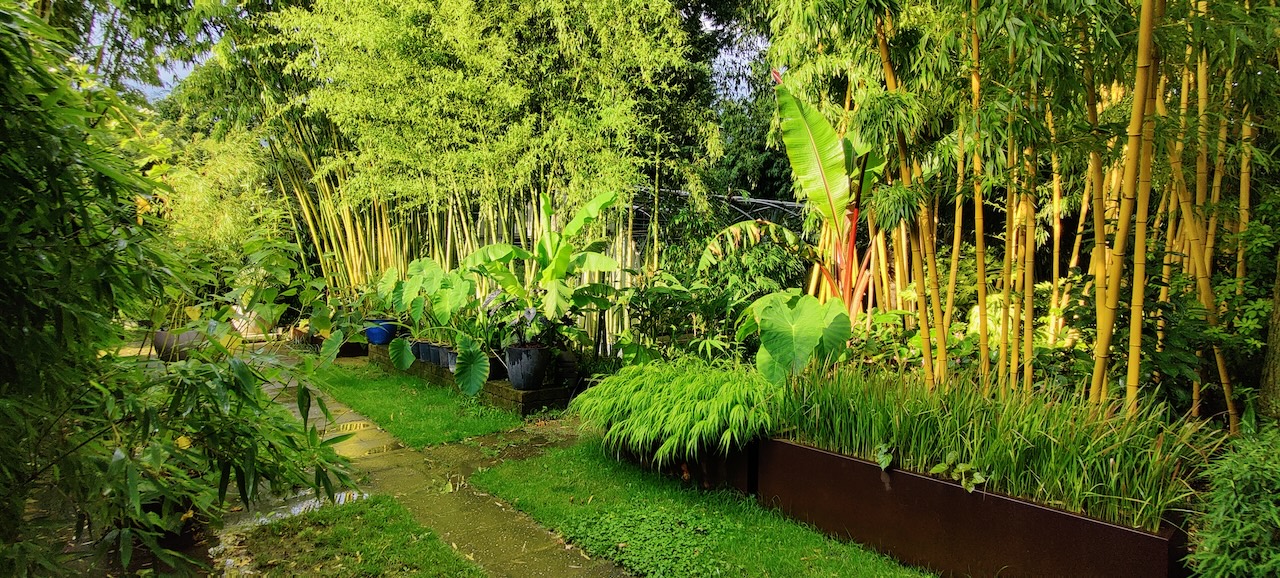 Assortimentstuin PERK Botanical Nursery Garden 5