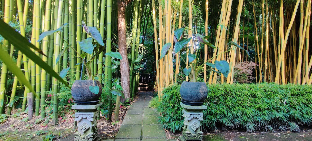 Assortimentstuin PERK Botanical Nursery Garden 6