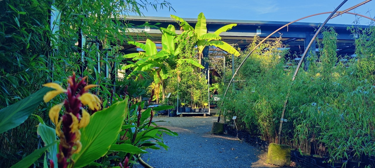 Assortimentstuin PERK Botanical Nursery Garden 7