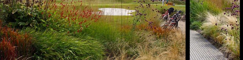 Grassen openbare ruimte