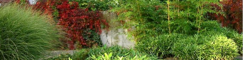 Bamboe openbare ruimte