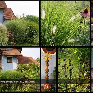 Tuinontwerp met bamboe, siergrassen en exoten