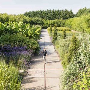 Bamboe, siergras, exoten Kwekerij