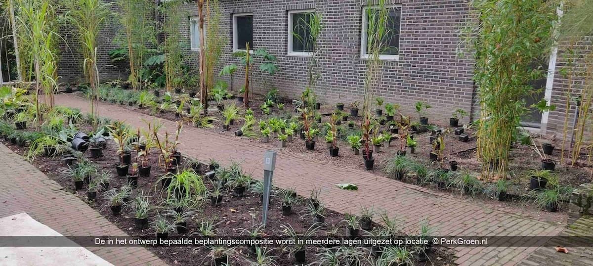 De in het ontwerp bepaalde beplantingscompositie wordt in meerdere lagen uitgezet op locatie PerkGroennl